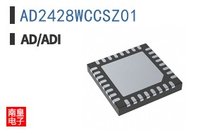 AD2428WCCSZ01